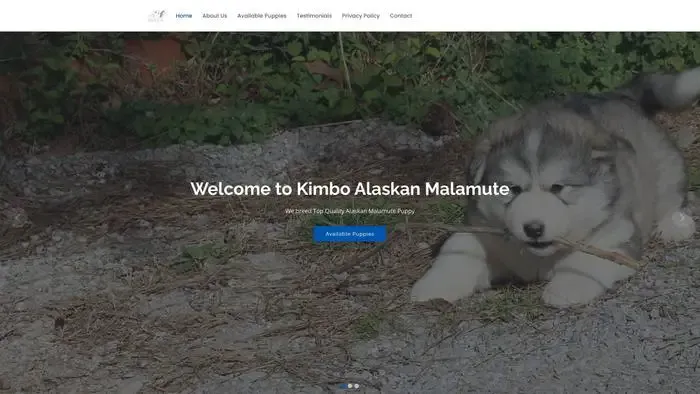 Screenshot of