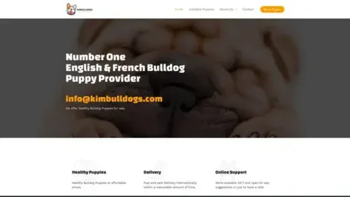 Screenshot of