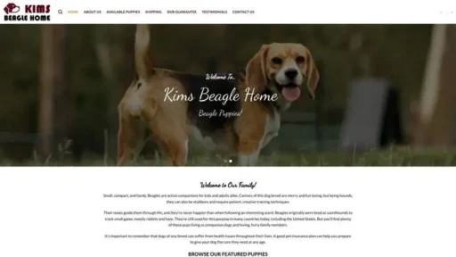 Screenshot of