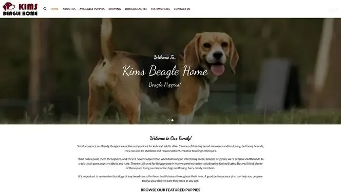 Screenshot of
