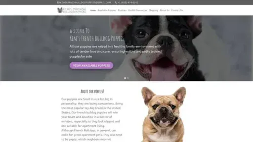 Screenshot of