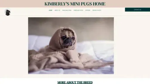 Screenshot of