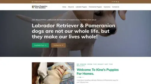 Screenshot of