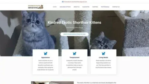 Screenshot of||