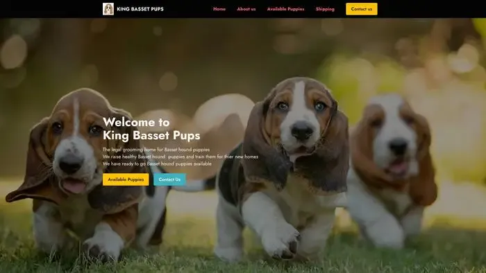 Screenshot of