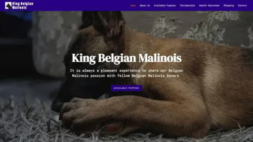 Screenshot of