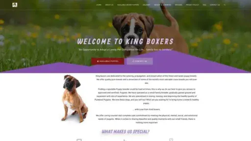 Screenshot of
