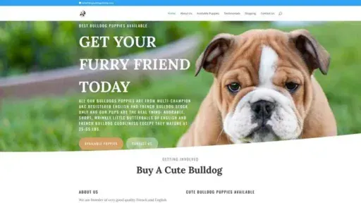 Screenshot of