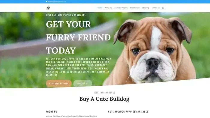Screenshot of