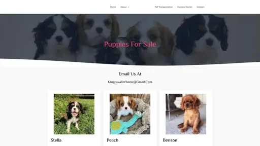 Screenshot of