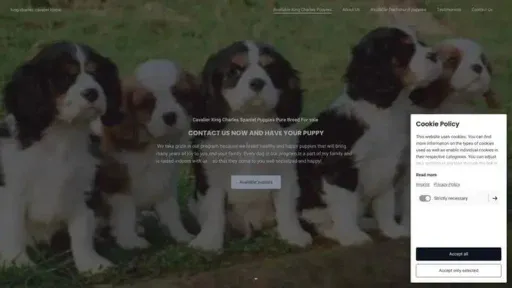 Screenshot of