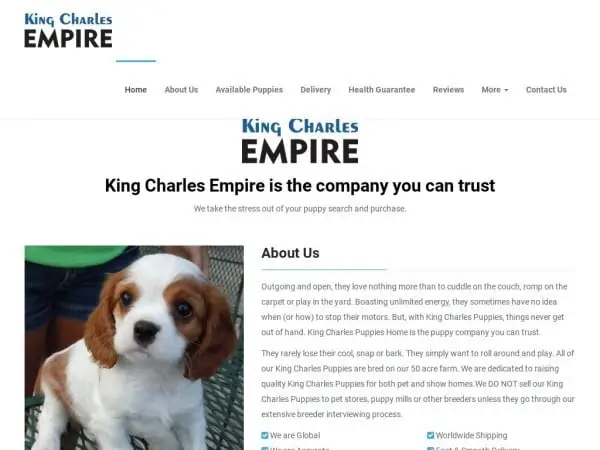 Screenshot of
