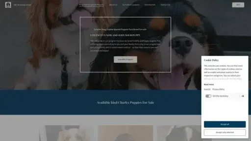 Screenshot of