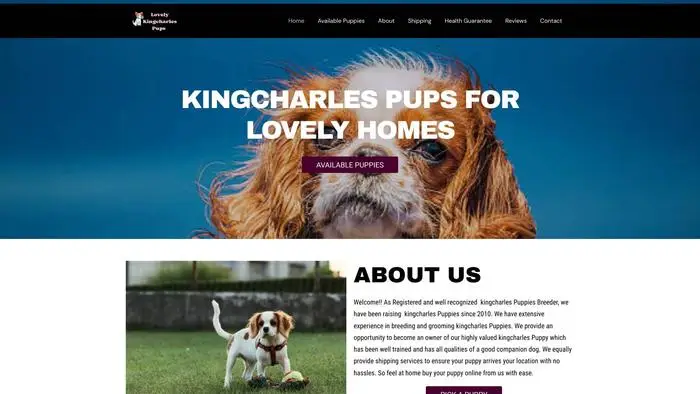 Screenshot of