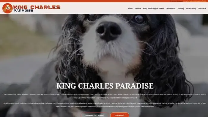 Screenshot of