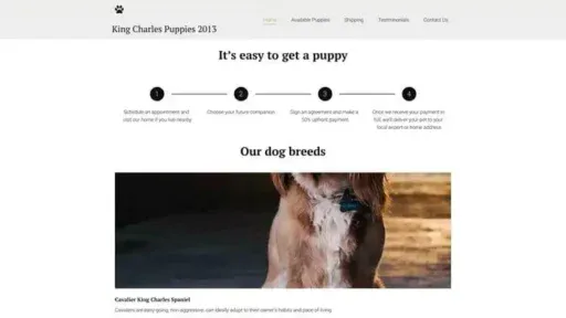 Screenshot of