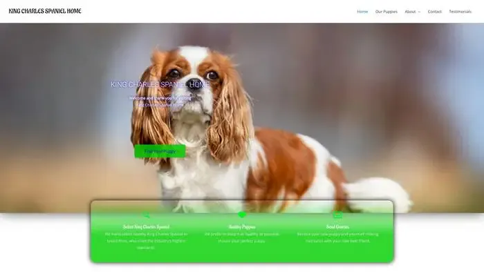 Screenshot of