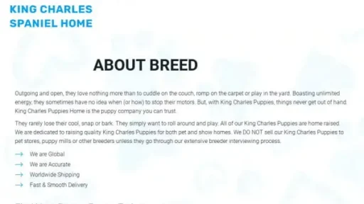 Screenshot of