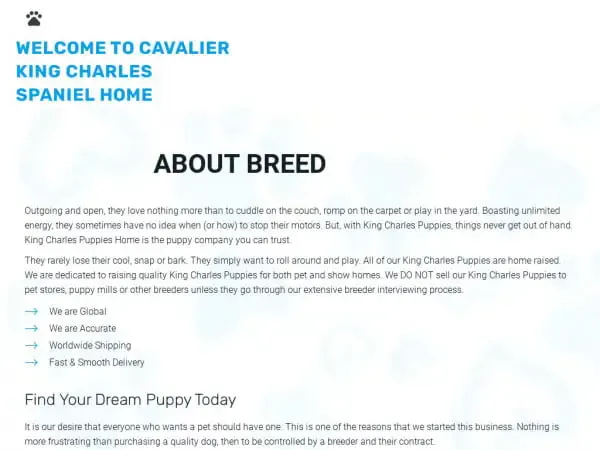 Screenshot of