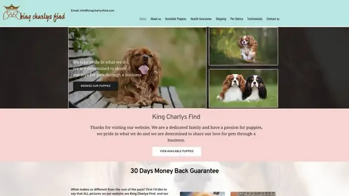 Screenshot of