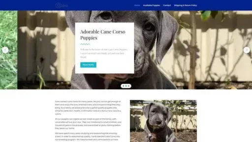 Screenshot of