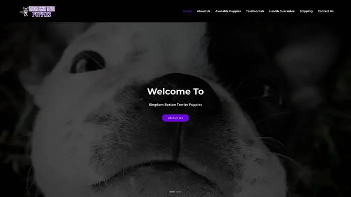 Screenshot of