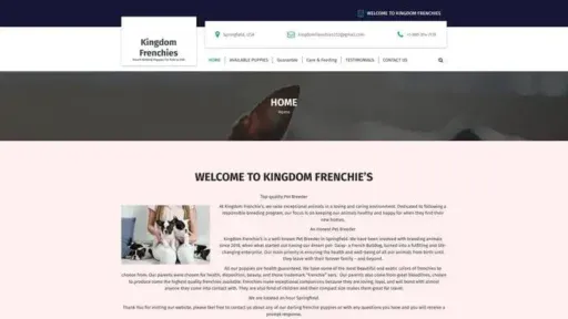 Screenshot of