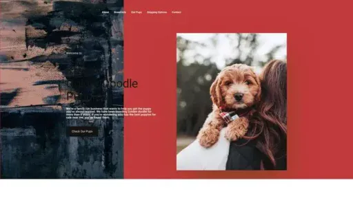 Screenshot of