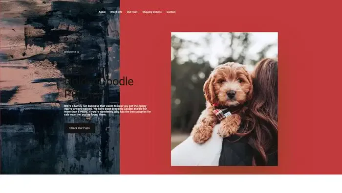 Screenshot of
