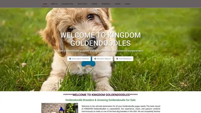 Screenshot of