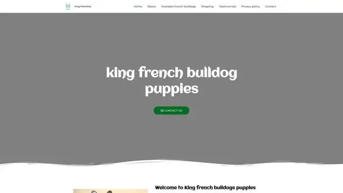 Screenshot of