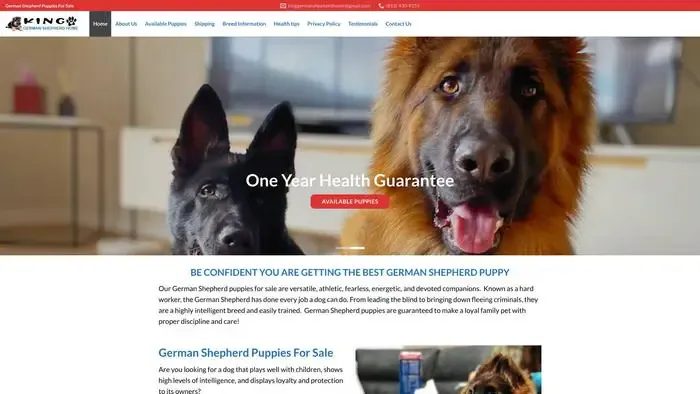 Screenshot of