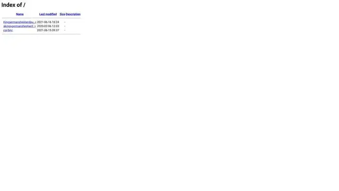 Screenshot of