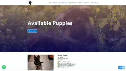 Screenshot of