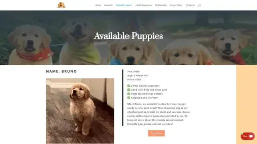 Screenshot of