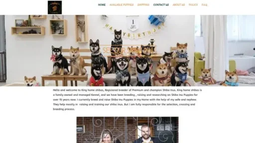Screenshot of