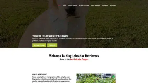 Screenshot of