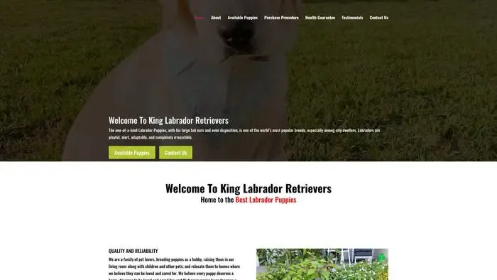 Screenshot of