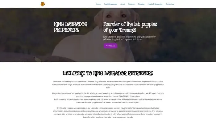 Screenshot of