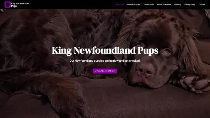 Screenshot of
