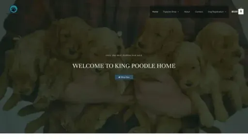 Screenshot of