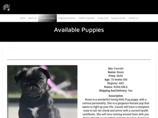 Screenshot of