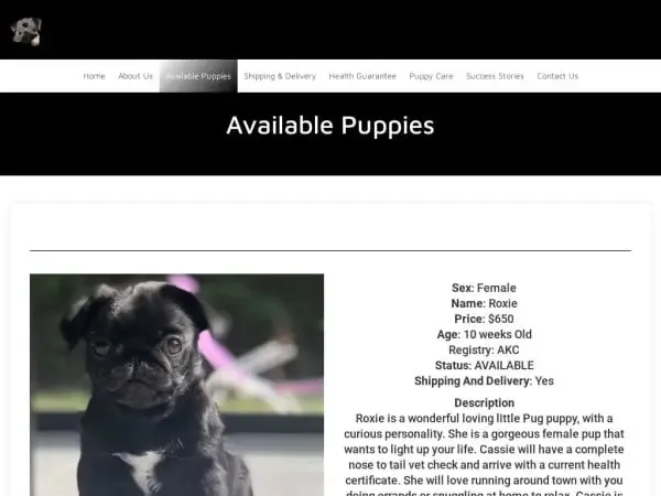 Screenshot of