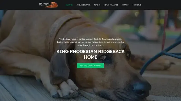 Screenshot of