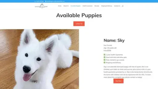 Screenshot of