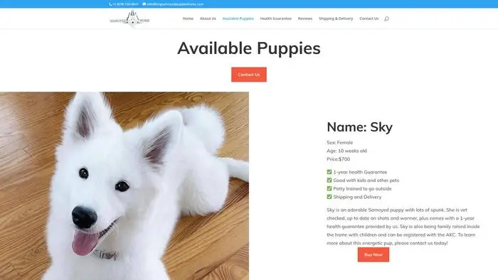 Screenshot of
