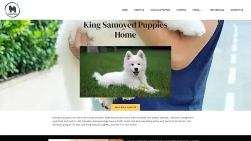 Screenshot of