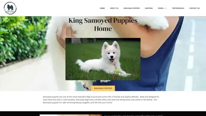 Screenshot of