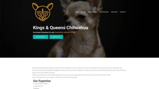 Screenshot of||