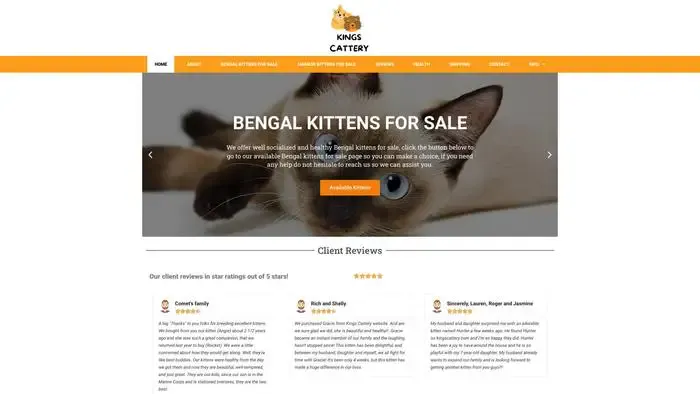 Screenshot of